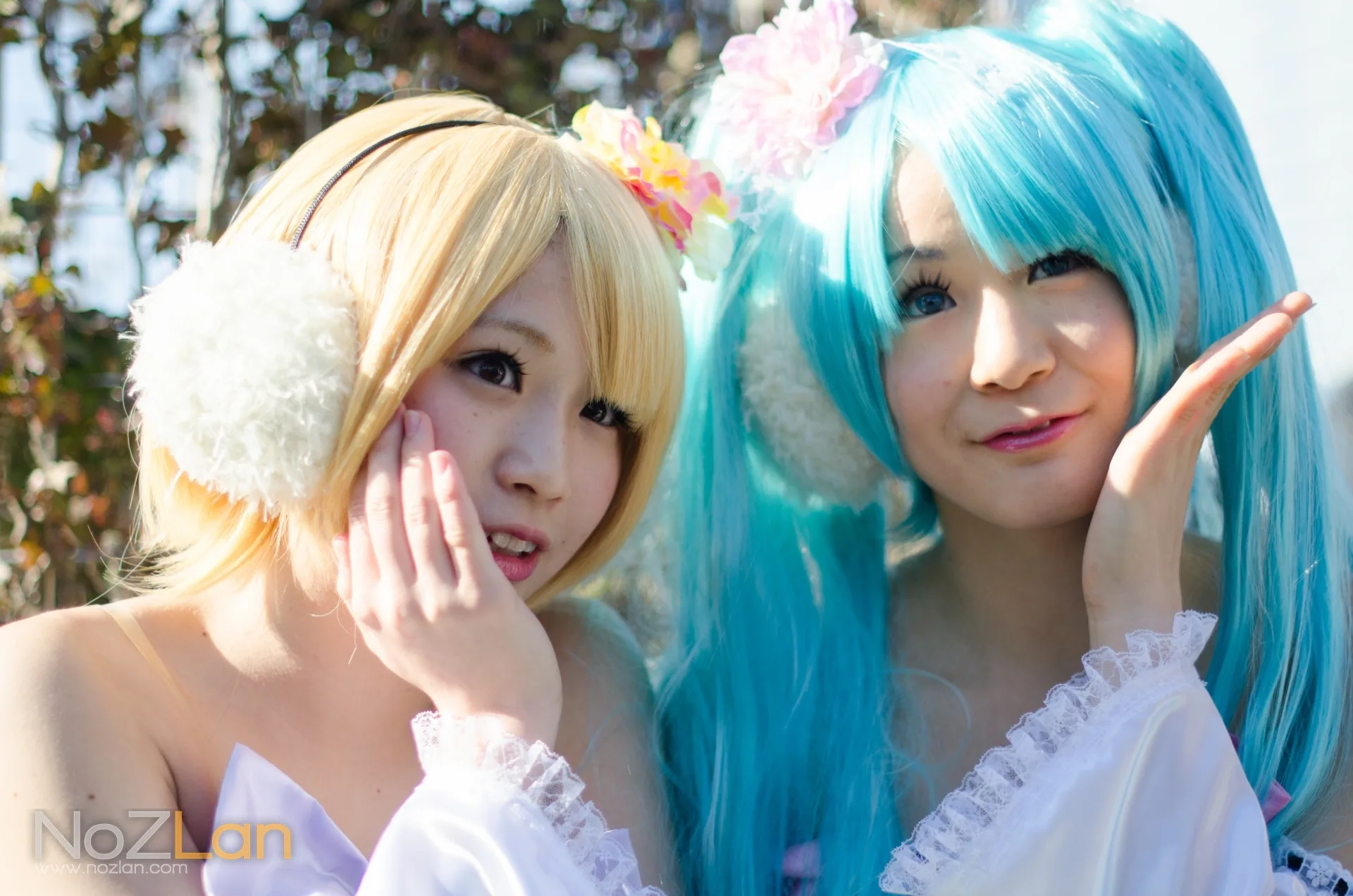 Photo