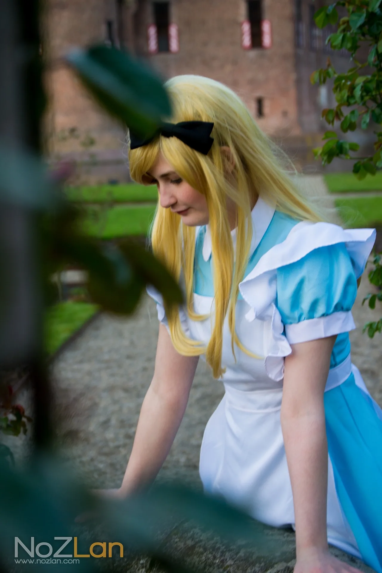Photo